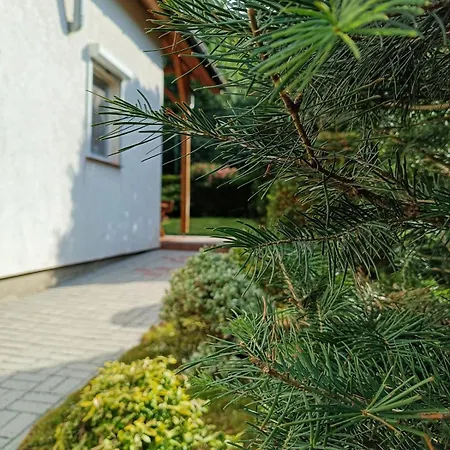 Dog- Friendly! Epicka Chata Сasa de vacaciones *