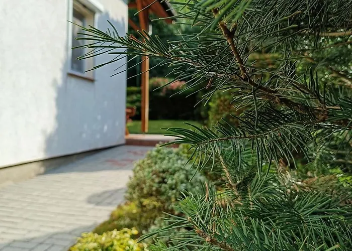 Dog- Friendly! Epicka Chata Semesterbostad *