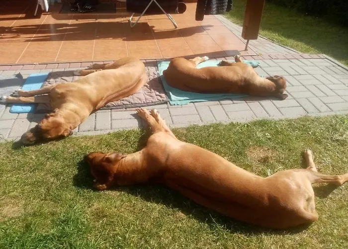 Dog- Friendly! Epicka Chata Jarosławiec